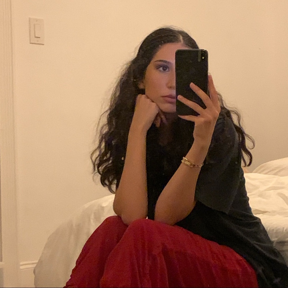 Meet your Posher, Ani michelle
